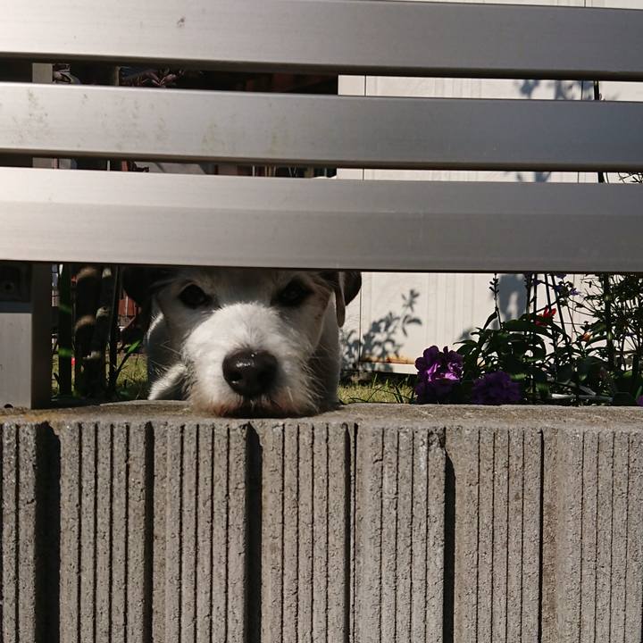 D25c406b 47fd 468d ae1a 677b3ccddd2d 1573601404638