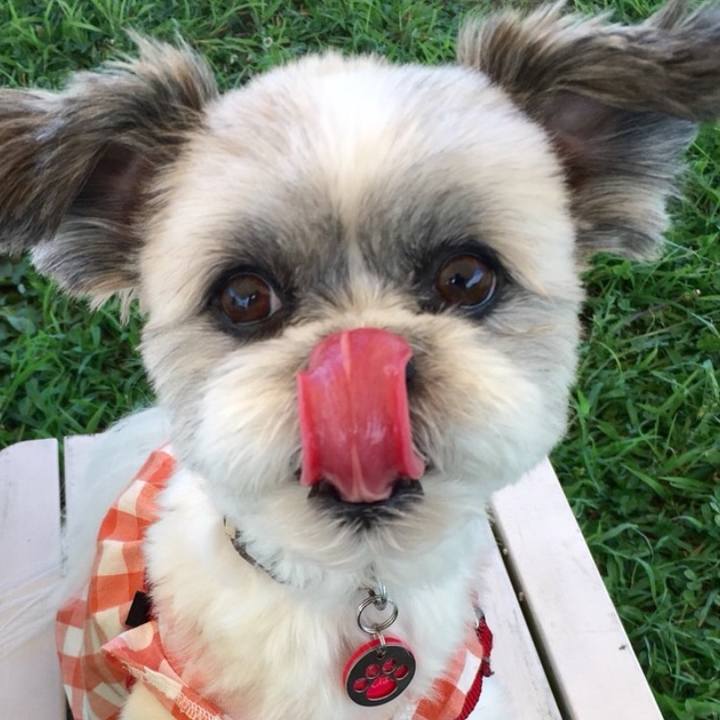 D25c46c5 3eec 43ca ae6a f85608783d38 1542429851964