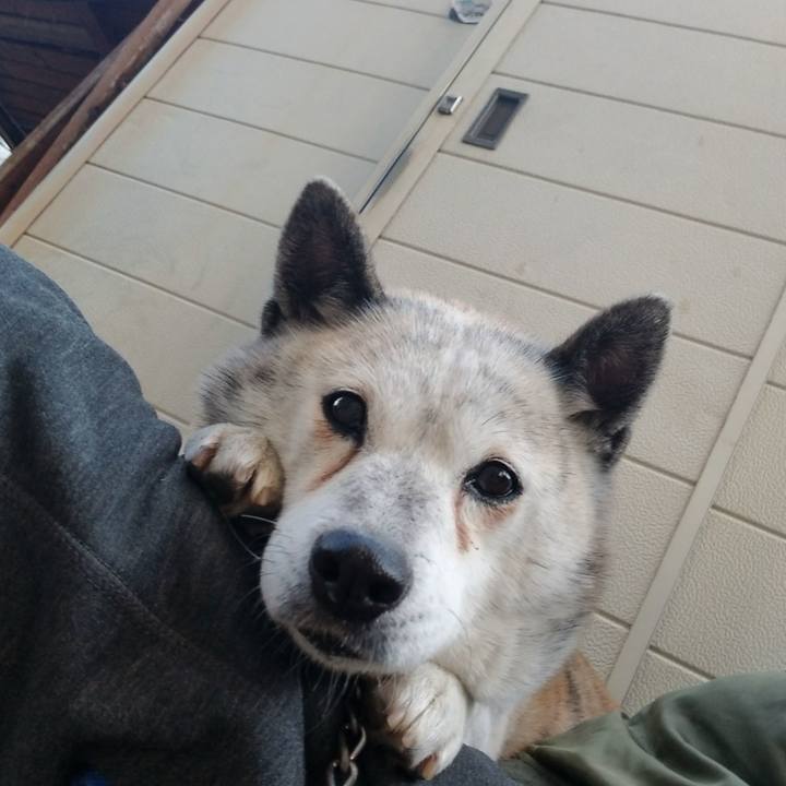 D25c479c 9558 4d2c 89cd a2c27a61492e 1642316176051