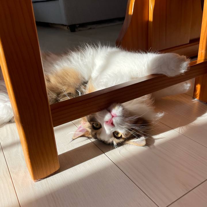 D25c592c c1cc 4806 9866 c21a7df6efe5 1639876771966