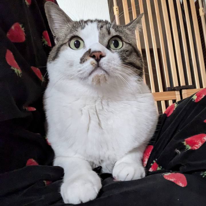 D25c6965 7e3f 4ec3 ac75 b23f3440b9eb 1734834037881