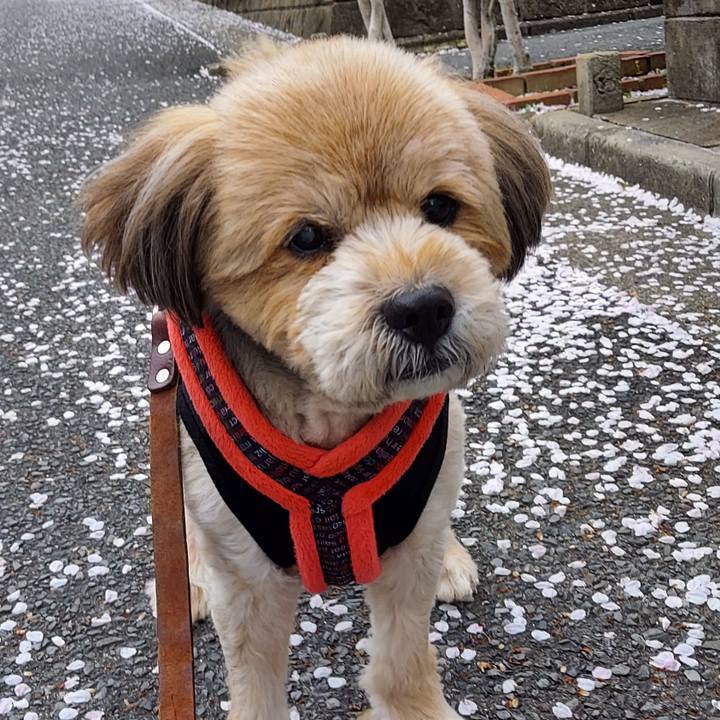 D25c841d 4b1a 4397 b182 9b64dc891b29 1648724194598