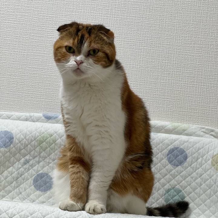 D25c9579 30d3 4f92 a067 c1a45becac07 1692047470448