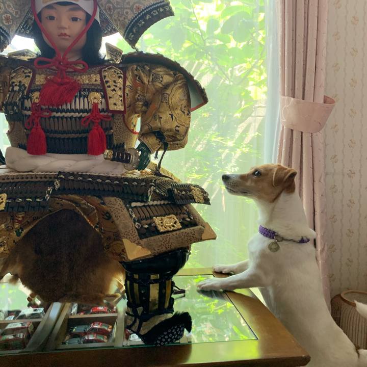 D25cae93 1617 4f99 996e 2a99cca99303 1588654178774