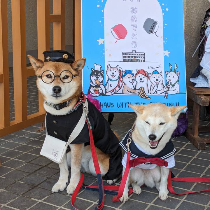 D25cd744 c4ec 4d21 bff9 3abfeada2d88 1714366579287