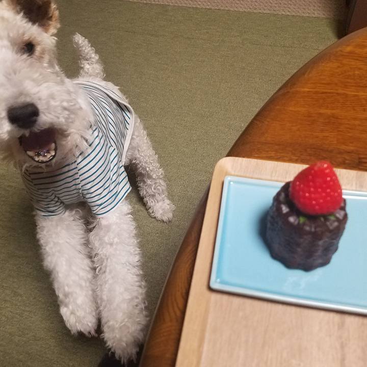 D25cd8af 87aa 412b a1fb dfdefbca3690 1557843635387