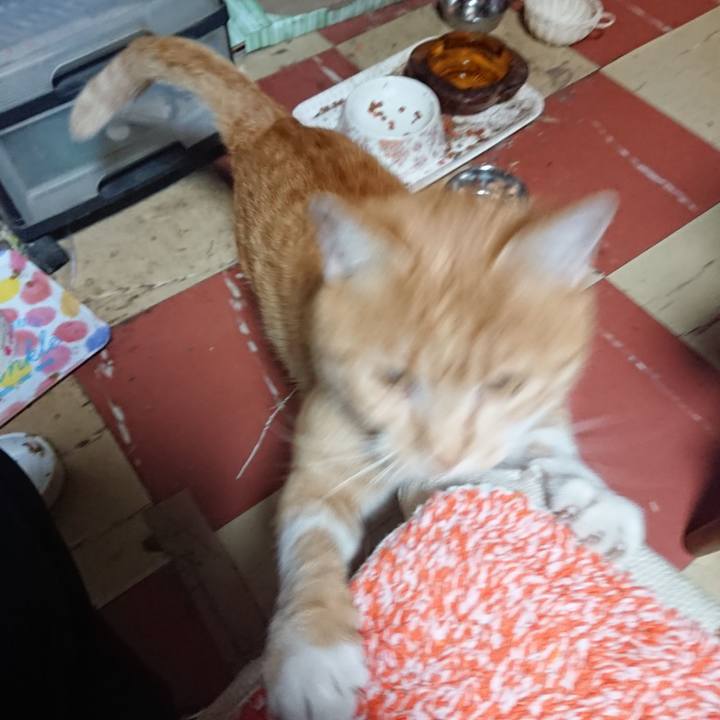 D25cde7f 9354 45c1 baa7 aa2e2a769a80 1571390830210