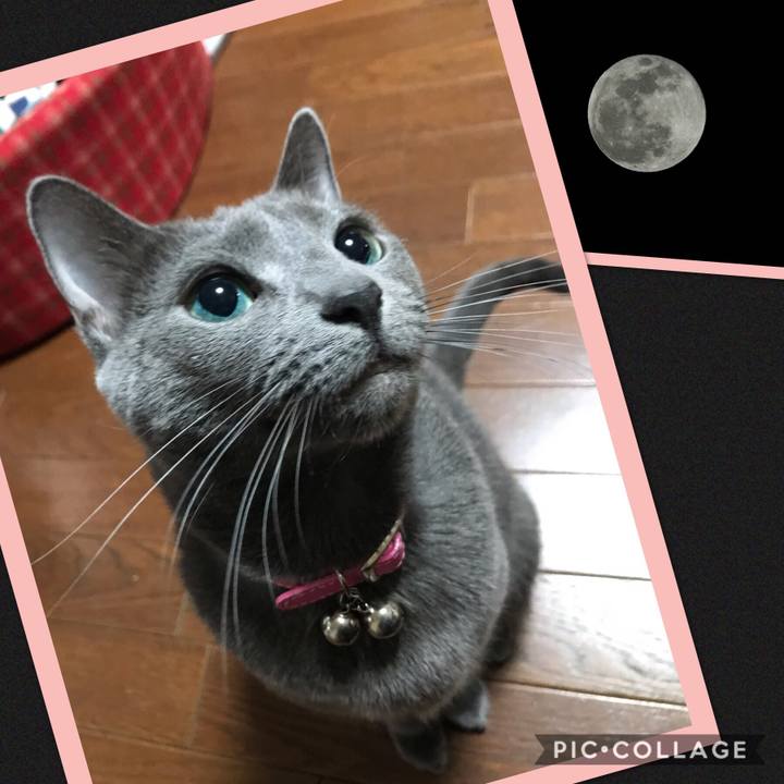 D25d0da9 b84b 4f1e 927c 2343956c58f0 1548081550557