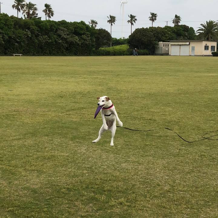 D25d1f4f 3de7 4d06 86d6 b4e59688a4aa 1525601659814