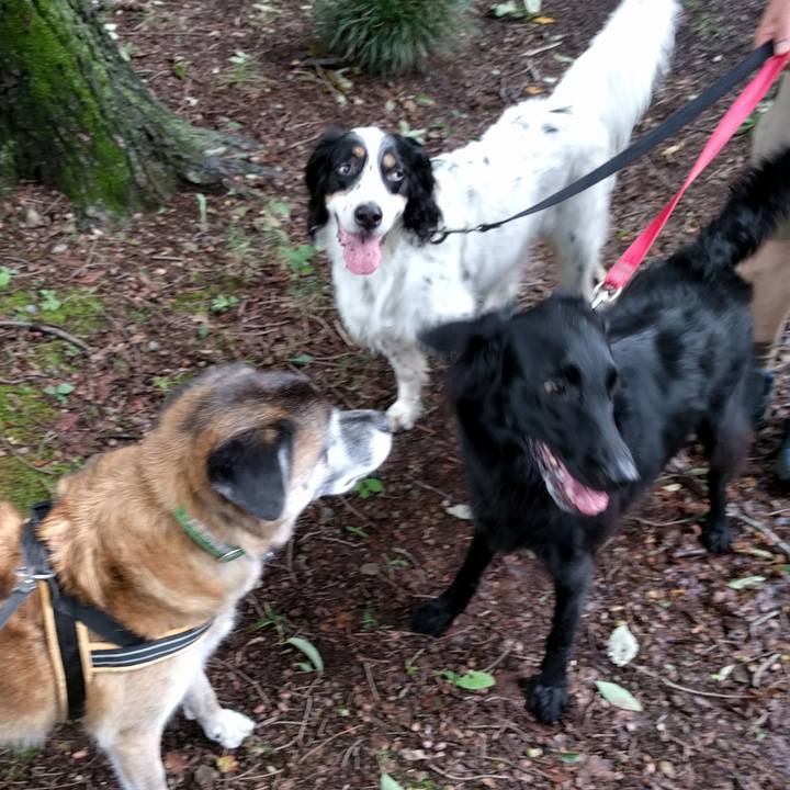 D25d47a8 7843 437b 9eff 1bb98d1bc7ec 1535069243339