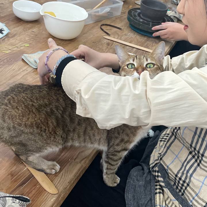 D25d628a 1b10 42cd af05 fecaed89eea8 1739543510168