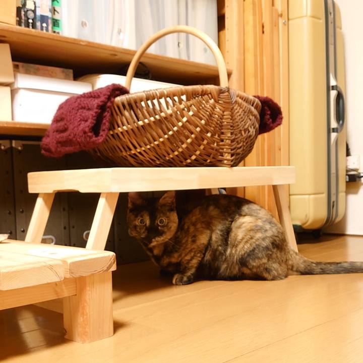 D25d96fc 325f 49d1 b475 51f0662bcbc7 1755947551217