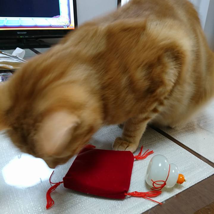 D25dc244 c311 4645 a352 eca5e607eea3 1514594817621