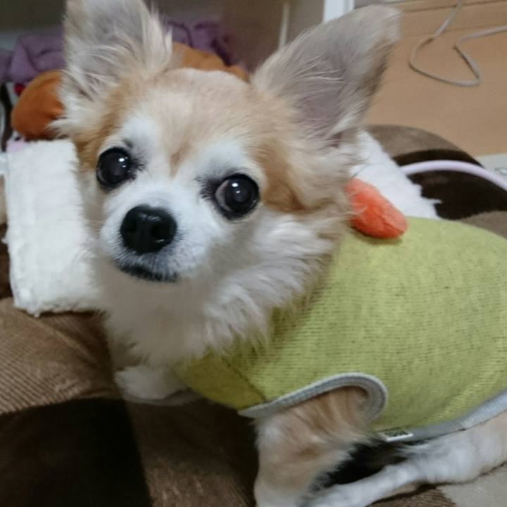 D25e21fc fc08 4e97 87f3 1823cc7a2bb6 1509024596658