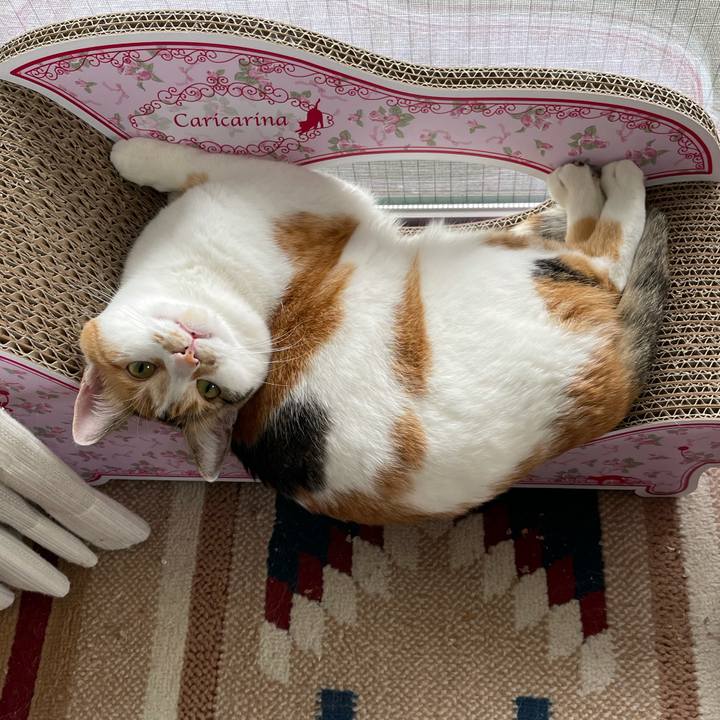 D25e6333 b3c6 4c3f aa87 591e24a74705 1619928851945