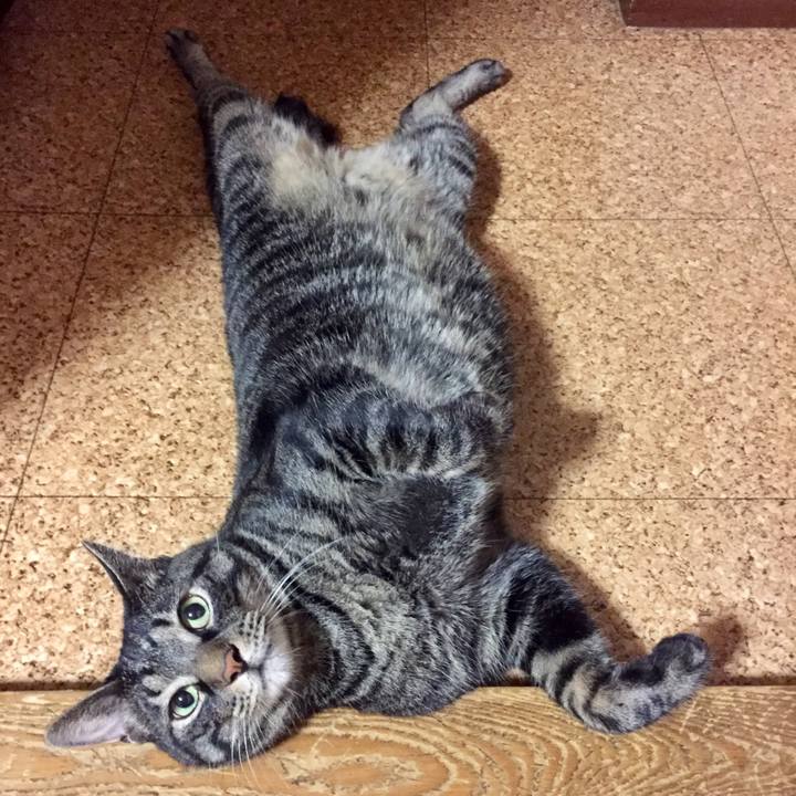 D25e78ab daef 459b 9b58 ea22b9b7ac87 1535336488131