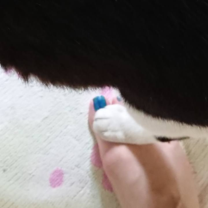 D25ed525 12d8 484c a3cf 83469fb2aaa9 1566519497411