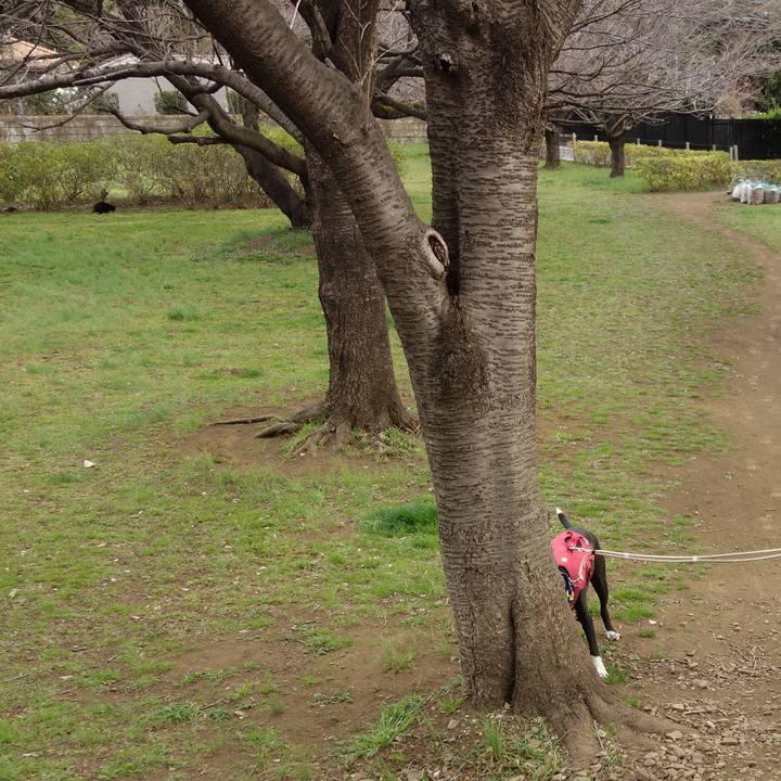 D25f1a88 50a6 45b2 8a49 4130e250c5ab 1678667504272