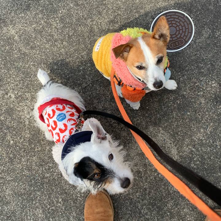 D25f355a 3c1d 4409 9b49 c4aebbae821f 1642899193635