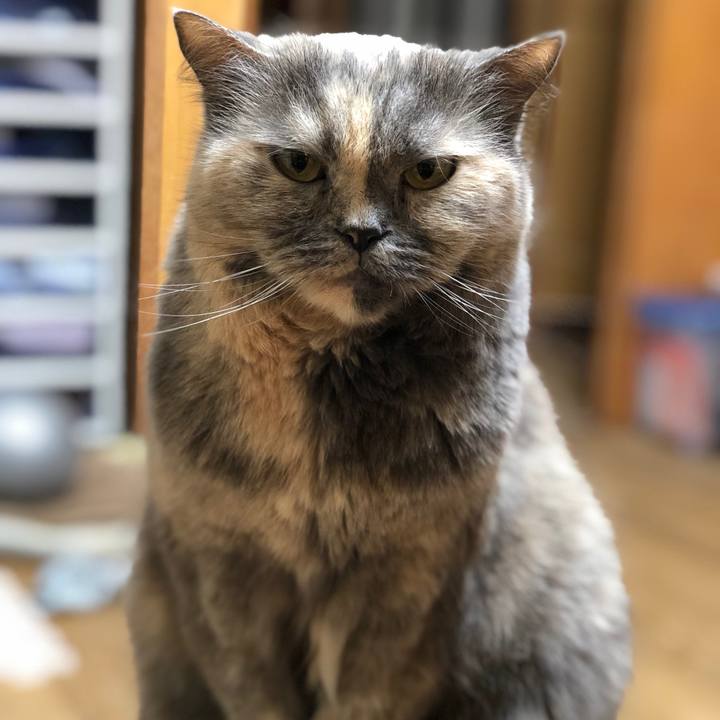 D25f4152 56be 4384 a917 856c3e05fc9e 1666350994947