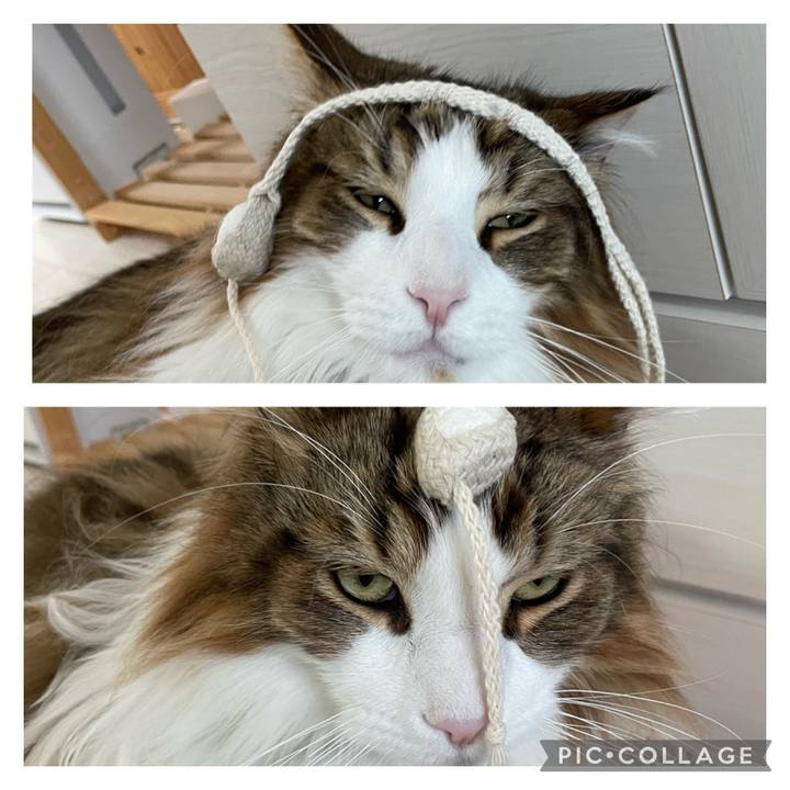 D25f6982 e2eb 4788 b55a d5fc8a020def 1684100028466