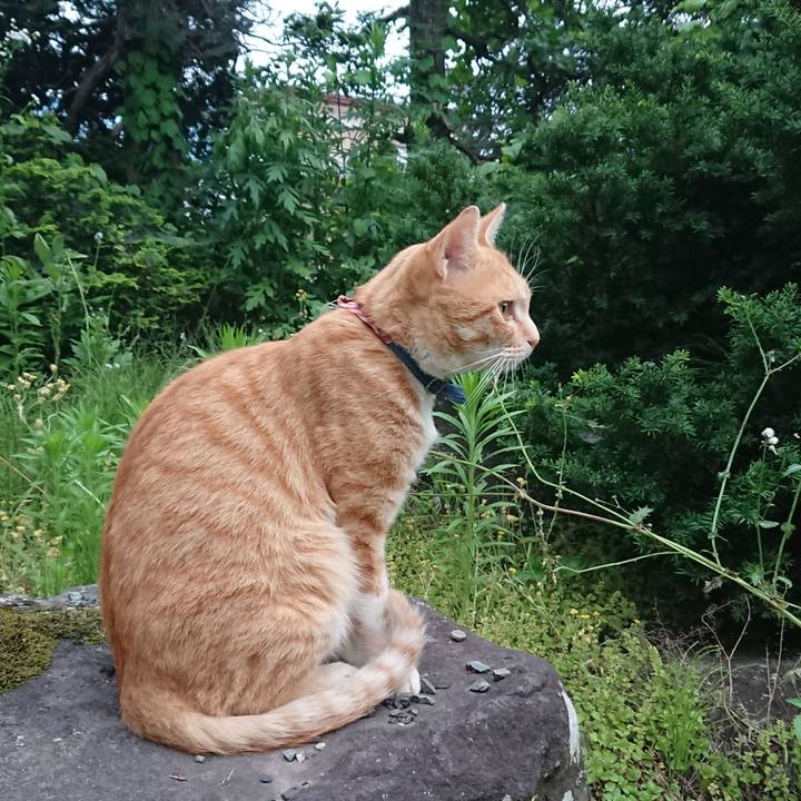 D25fa7c0 7dc2 4672 b921 0b383719a24d 1562838550920