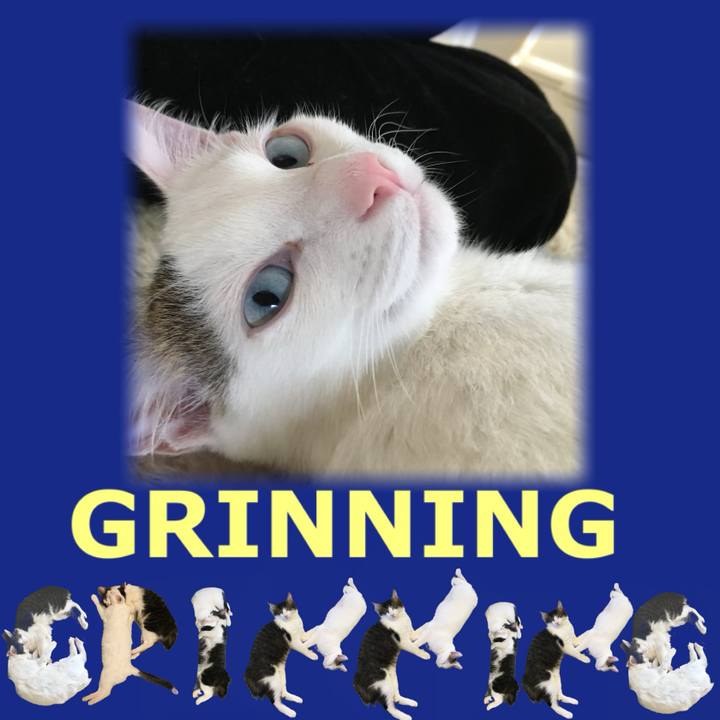 D25ff2c1 7b13 49be a348 3dc0c05f9466 1668036841522