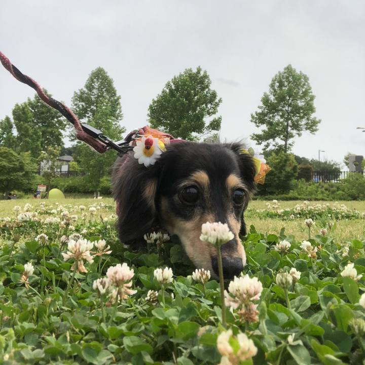 D25ff5d1 41a2 457d 818d 2c9b2d9ede40 1590383433692