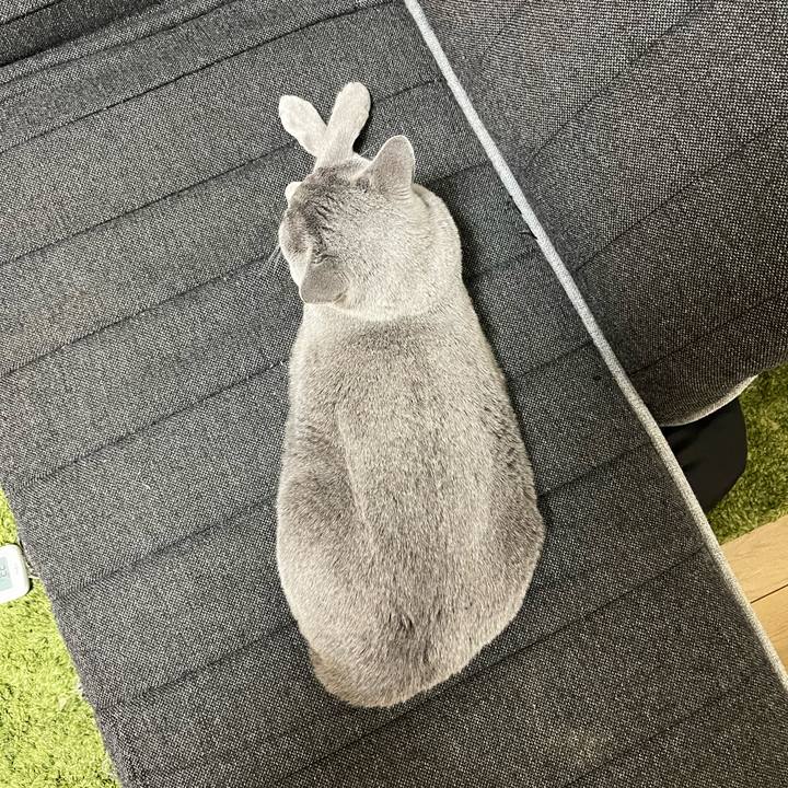 D2602cd0 7d44 4128 a98a fb6a8a35c8e7 1767098736034