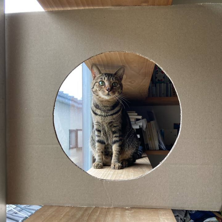 D26048ff 4c97 4972 b66f c03b3f32e3a0 1693918252980