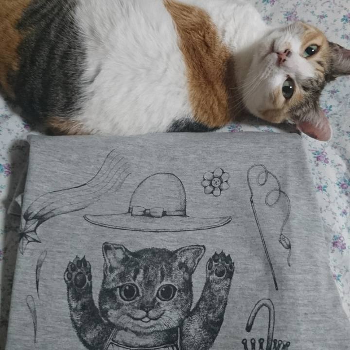 D26068bb cf1a 4a57 a5a8 a34853501896 1556876778418