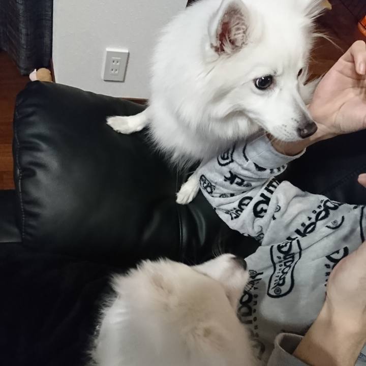 D2609bb6 302f 406f b064 a778aeeddf82 1547474522113