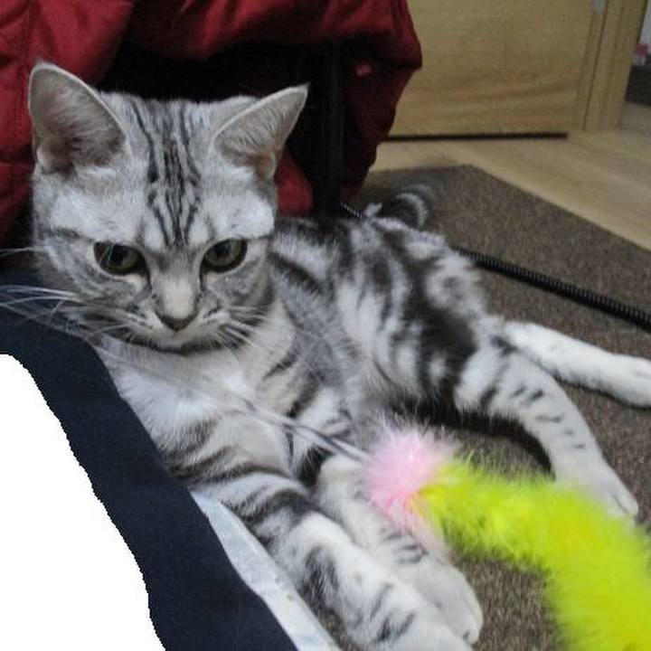 D260a340 a718 457b 94ce 82187f1d48c4 1558219942171