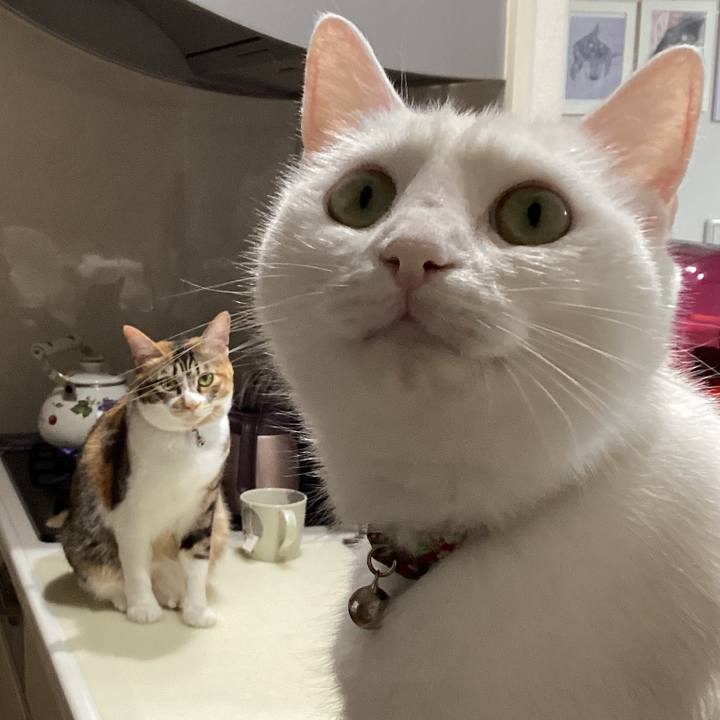 D260afd6 0c89 49a2 b922 150ccfa1a09e 1685227694852