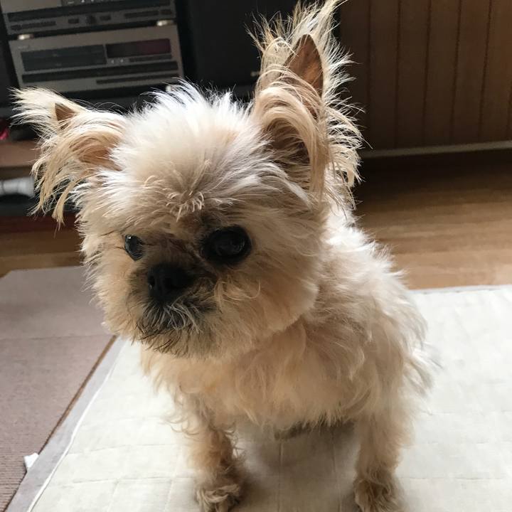 D260c42f 3cef 4c76 8aa2 19fa5c18341b 1590039829787