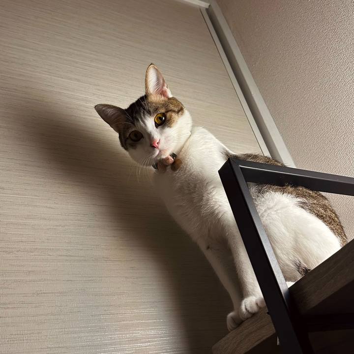 D26144ee 54e0 4595 b648 fc74ec5fbea7 1770814573195