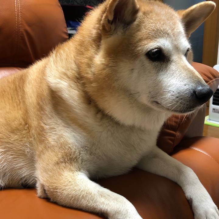 D2618b20 d485 4101 b17b 0f82bc1aa7de 1573454746403