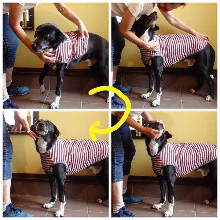 D2619258 7566 45d0 8326 3be09c22bf85 1659484948724