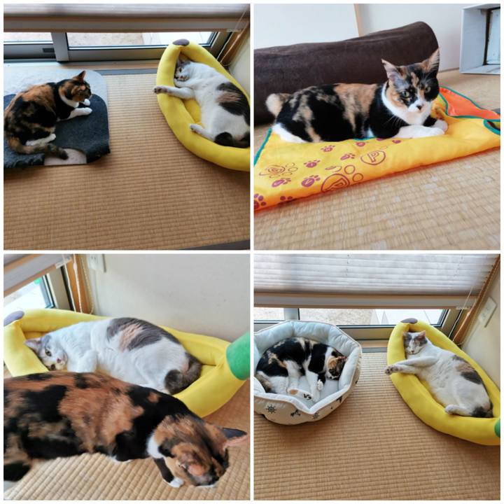 D261aedf 7e91 468d 8eca b3ef20534adf 1658806421679