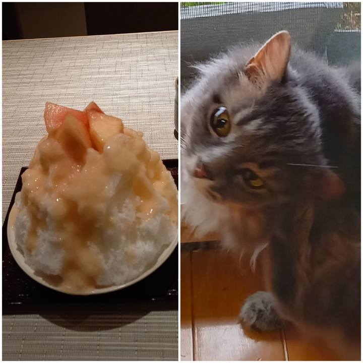 D262220c 93ad 4209 8435 8c3026ba1d79 1628204327299