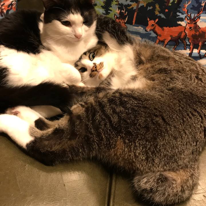 D2622452 a8dc 45c5 827a 5a645ec6884d 1526632150669