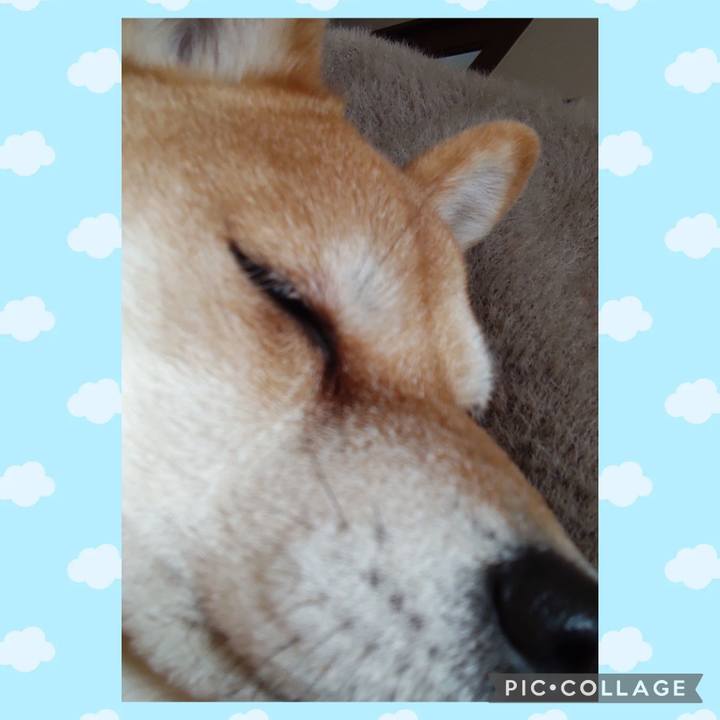 D2622eb4 ca3e 4df6 9a57 f72110a8953a 1737763688426