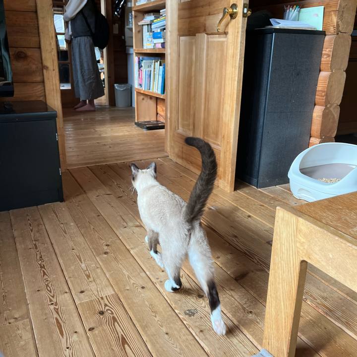 D2622ec6 245e 4adf bbc1 e552d0671104 1732362141229