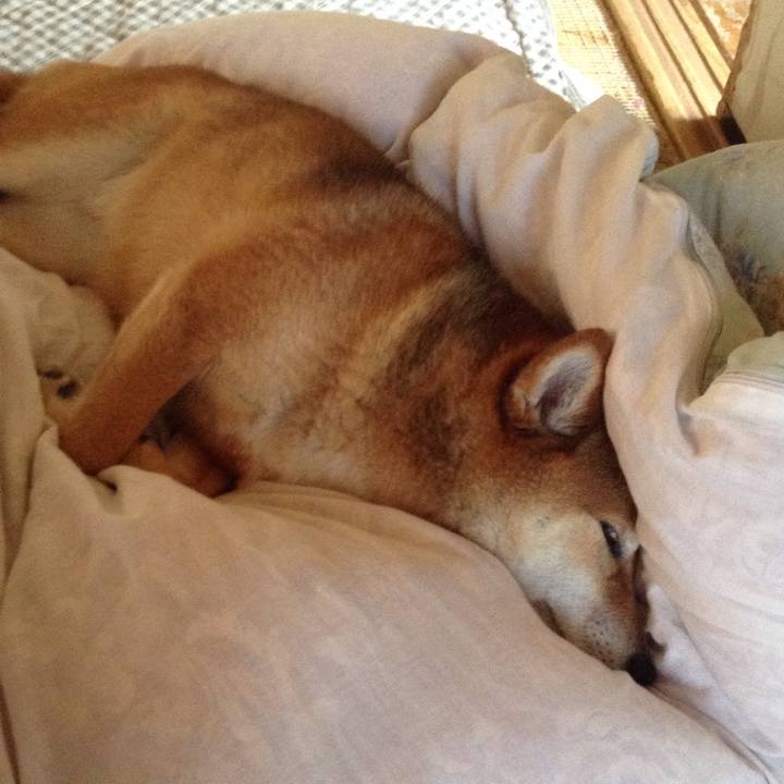 D26242a1 cdd0 4695 9360 dac9bb078007 1525394354182