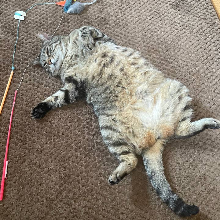 D2626929 3d8d 4654 a549 ae11b63118da 1624752510255