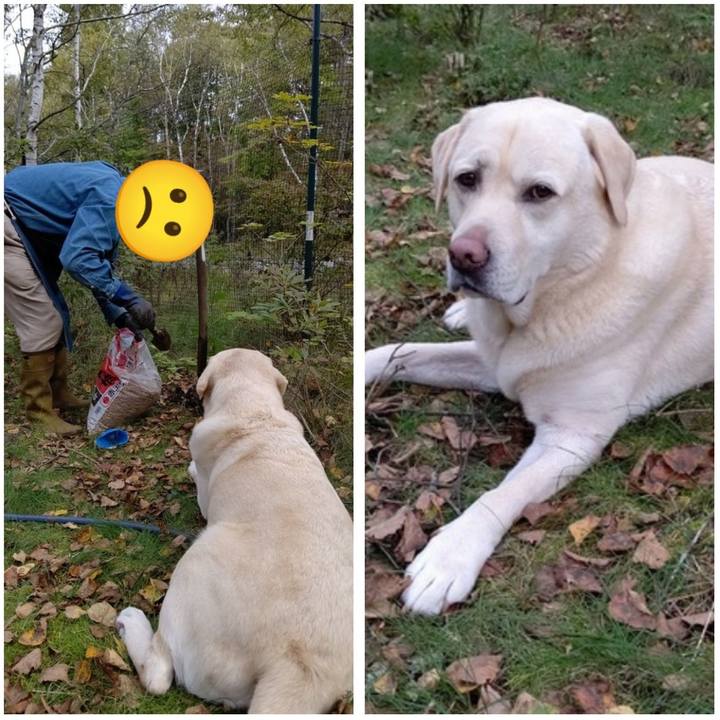 D2629d4d 7bbd 40bf 9f38 1a333f3b1ac9 1665323977975