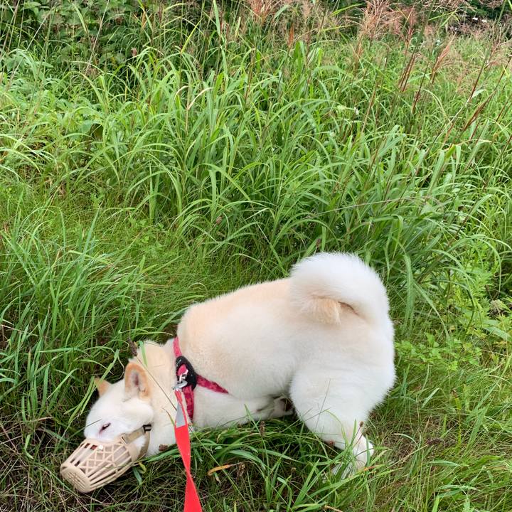 D262abb1 20d7 44f4 92e4 faf542b9b28e 1565564457206