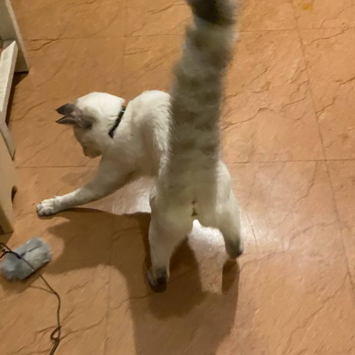 D262cf0a 165f 4300 8a43 616e884a4178 1637322565210