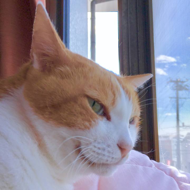 D262e340 655e 45c4 8469 c2ba9b35529a 1569466132750