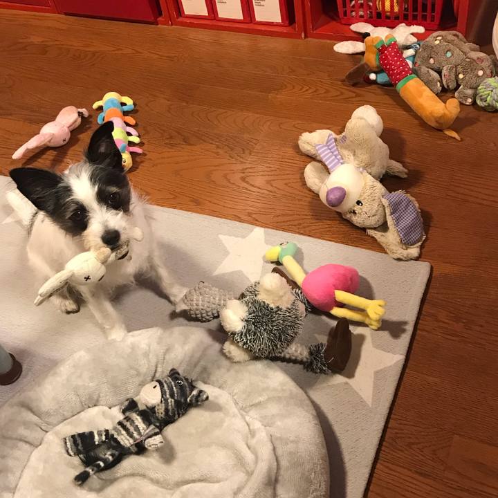 D262f98c cc9c 48e1 ab1a ccffe974d106 1558097121992